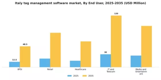 Italy Tag Management Software Market Segment Image 2
