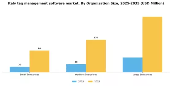 Italy Tag Management Software Market Segment Image 3
