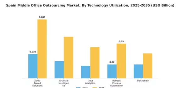 Spain Middle Office Outsourcing Market Segment Image 4