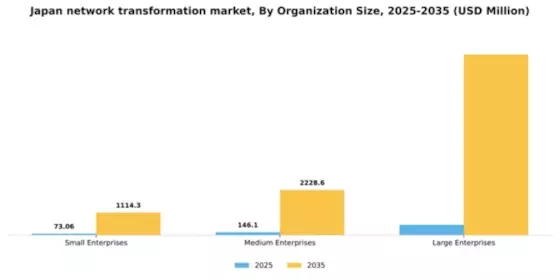Japan Network Transformation Market Segment Image 1