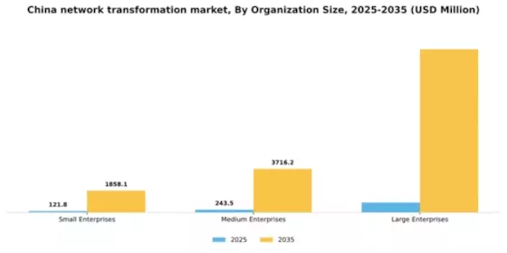 China Network Transformation Market Segment Image 1
