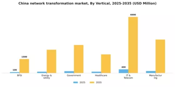 China Network Transformation Market Segment Image 2