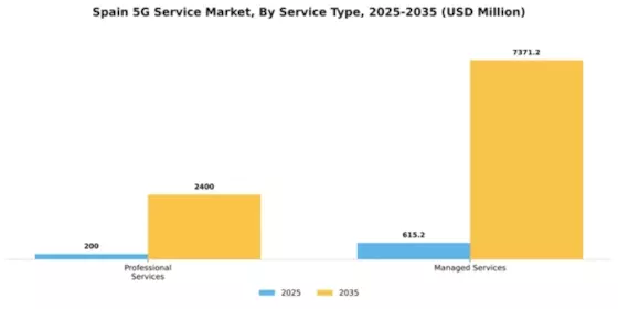 Spain 5G Service Market Segment Image 1