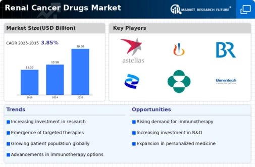 Renal Cancer Drug Market Infographic