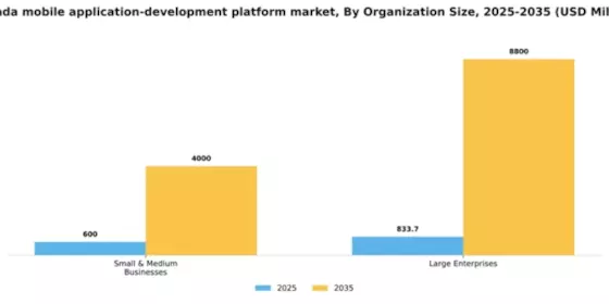 Canada Mobile Application Development Platform Market Segment Image 1
