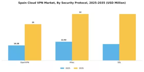 Spain Cloud Vpn Market Segment Image 2