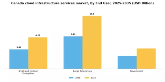 Canada Cloud Infrastructure Services Market Segment Image 1