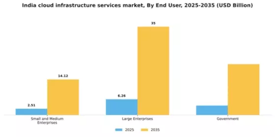 India Cloud Infrastructure Services Market Segment Image 1