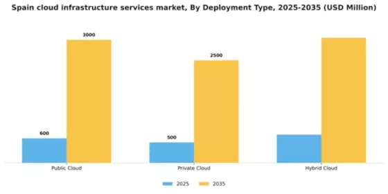 Spain Cloud Infrastructure Services Market Segment Image 0