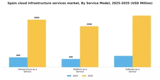 Spain Cloud Infrastructure Services Market Segment Image 3