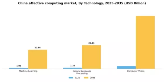 China Affective Computing Market Segment Image 3