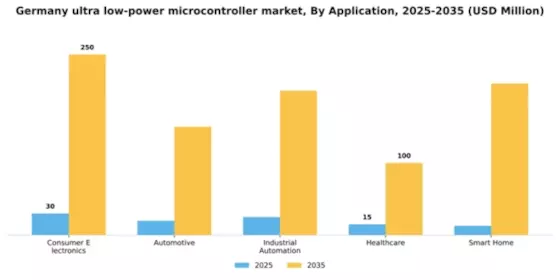 Germany Ultra Low Power Microcontroller Market Segment Image 0