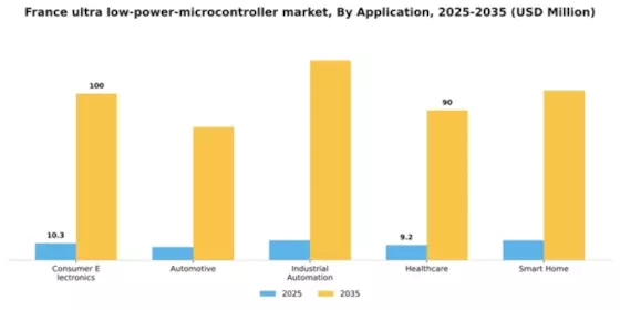 France Ultra Low Power Microcontroller Market Segment Image 0