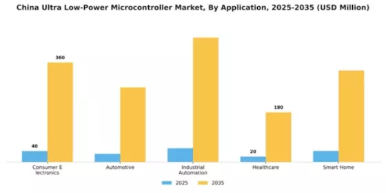 China Ultra Low Power Microcontroller Market Segment Image 0