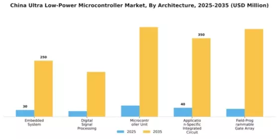 China Ultra Low Power Microcontroller Market Segment Image 1