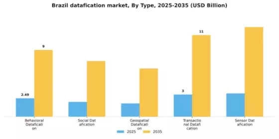 Brazil Datafication Market Segment Image 2
