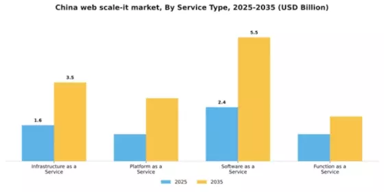 China Web Scale It Market Segment Image 3