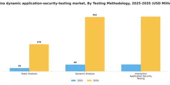 China Dynamic Application Security Testing Market Segment Image 3