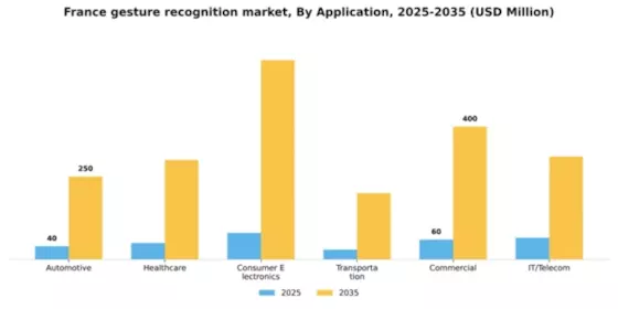 France Gesture Recognition Market Segment Image 0