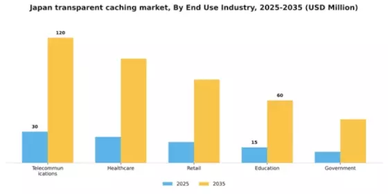 Japan Transparent Caching Market Segment Image 3