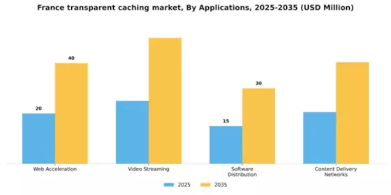 France Transparent Caching Market Segment Image 0