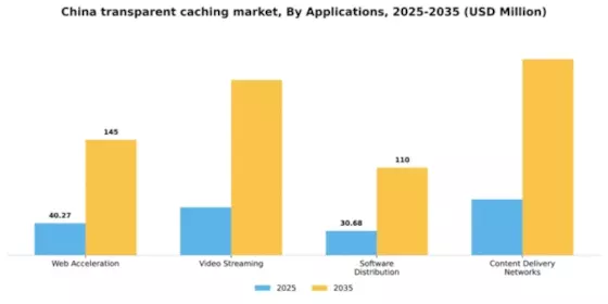 China Transparent Caching Market Segment Image 0