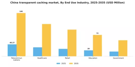 China Transparent Caching Market Segment Image 3