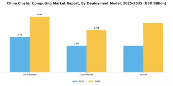 China Cluster Computing Market Segment Image 2