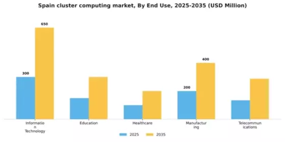 Spain Cluster Computing Market Segment Image 3