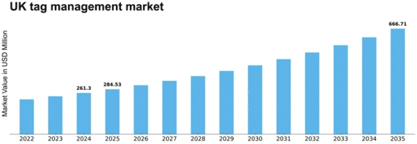 UK Tag Management Software Market Size