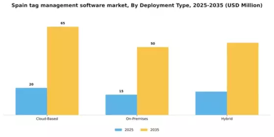 Spain Tag Management Software Market Segment Image 1