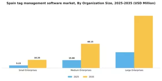 Spain Tag Management Software Market Segment Image 3