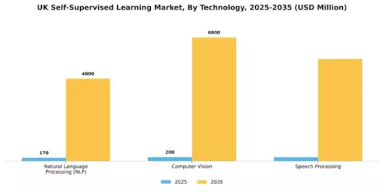 UK Self Supervised Learning Market Segment Image 1