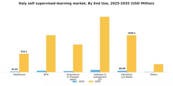 Italy Self Supervised Learning Market Segment Image 0
