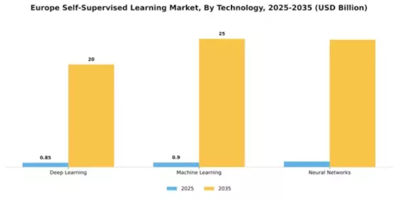 Europe Self Supervised Learning Market Segment Image 4