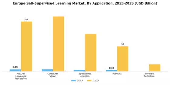 Europe Self Supervised Learning Market Segment Image 0