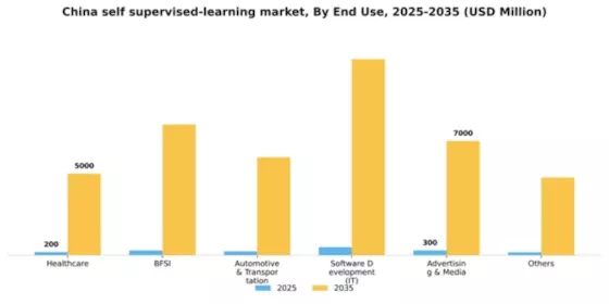China Self Supervised Learning Market Segment Image 0