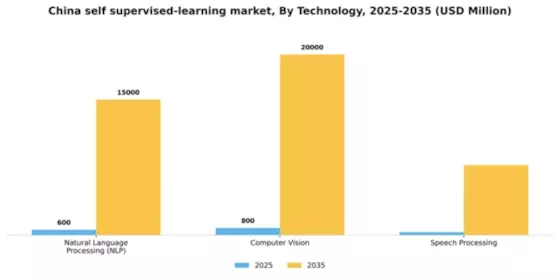 China Self Supervised Learning Market Segment Image 1
