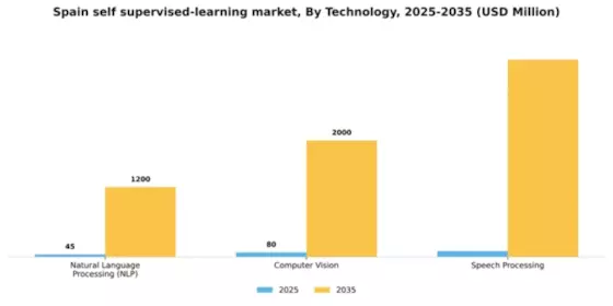 Spain Self Supervised Learning Market Segment Image 1