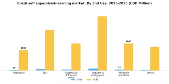 Brazil Self Supervised Learning Market Segment Image 0