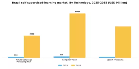 Brazil Self Supervised Learning Market Segment Image 1