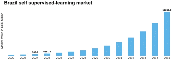 Brazil Self Supervised Learning Market Size