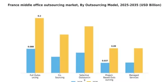 France Middle Office Outsourcing Market Segment Image 2