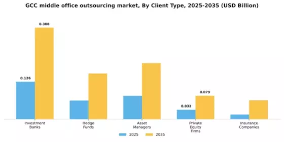 GCC Middle Office Outsourcing Market Segment Image 0