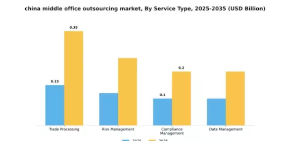 China Middle Office Outsourcing Market Segment Image 3