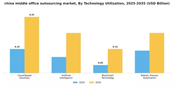 China Middle Office Outsourcing Market Segment Image 4