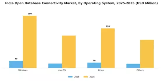 India Open Database Connectivity Market Segment Image 3