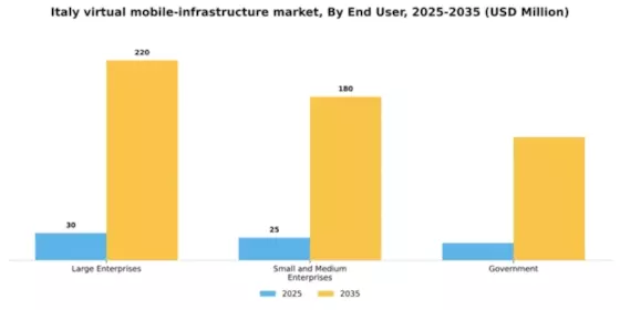 Italy Virtual Mobile Infrastructure Market Segment Image 2