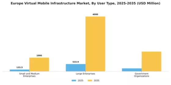 Europe Virtual Mobile Infrastructure Market Segment Image 4