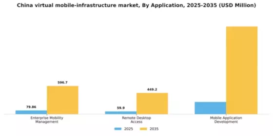 China Virtual Mobile Infrastructure Market Segment Image 0